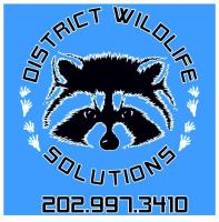 District Wildlife Solutions image 2